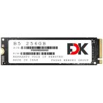 حافظه اس اس دی اینترنال فدک مدل FDK B5 M.2 2280 NVMe ظرفیت 256 گیگابایت