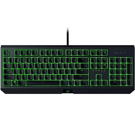 کیبورد مکانیکال باسیم ریزر مدل BlackWidow Essential سوییچ سبز - 27